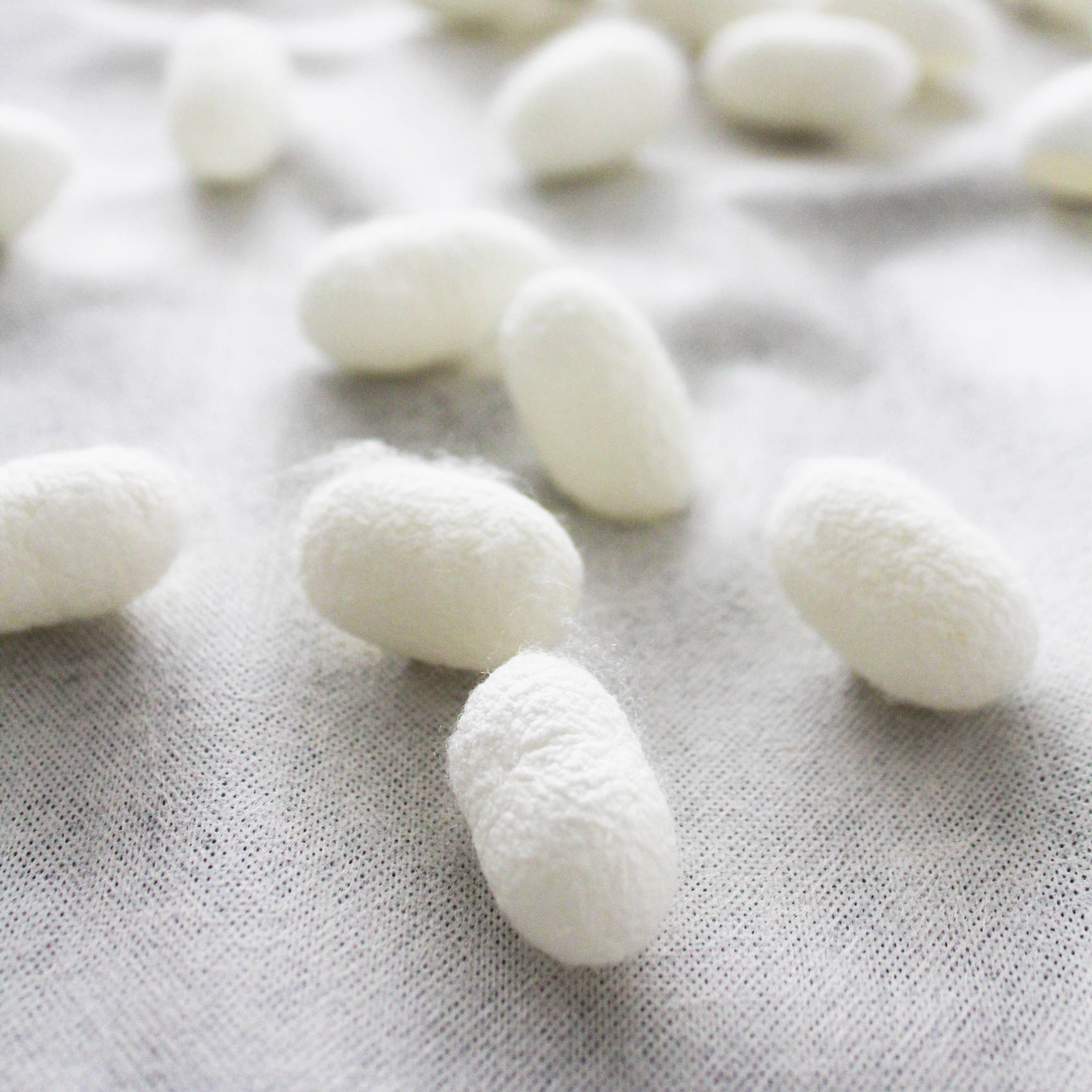 Picture of Natural Silk Material from China