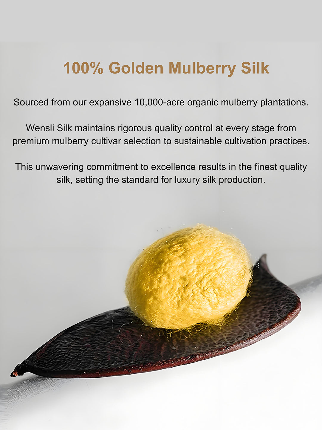 Luxury Bedding Ensemble Mulberry Silk Comforter Set with Jacquard Duvet Cover and Sheets, Wensli Golden Silkworm No.1 Premium Silk Bed Set